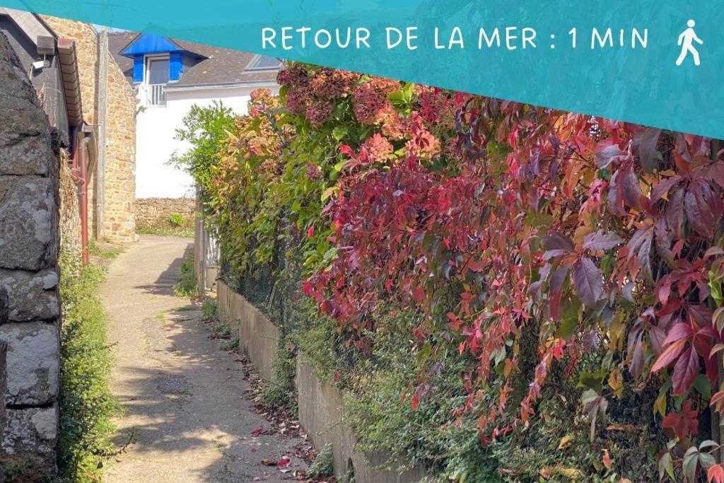 Ty Gavrinis - T2- Centre Bourg - 100M De La Mer 拉尔莫巴当 外观 照片